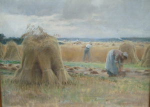 "Clearing the Fields"