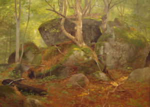 “Forest Interior”