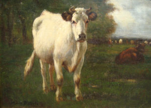 “Cow in Pasture”