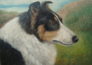 “Collie Champion, Moreton Hebe”