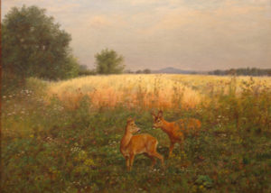 “Deer in a Field”